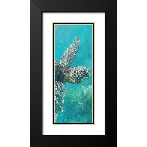 Sea Turtle 1 Black Modern Wood Framed Art Print with Double Matting by Allen, Kimberly