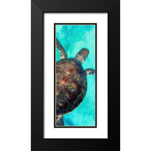 Sea Turtle 2 Black Modern Wood Framed Art Print with Double Matting by Allen, Kimberly