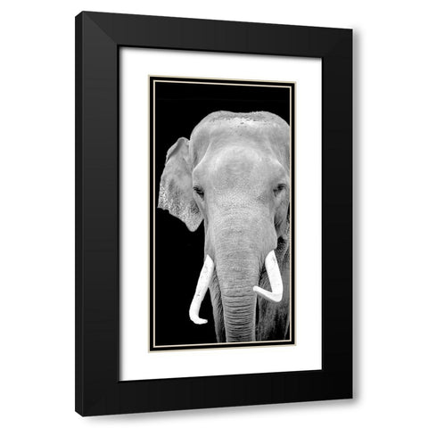 Strong 2 Black Modern Wood Framed Art Print with Double Matting by Allen, Kimberly