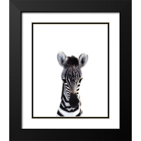 Baby Zebra Black Modern Wood Framed Art Print with Double Matting by Straatsma, Leah