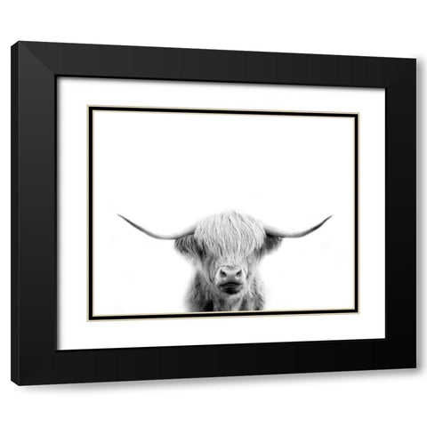 Scottish Cow Black Modern Wood Framed Art Print with Double Matting by Straatsma, Leah