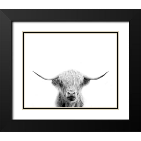 Scottish Cow Black Modern Wood Framed Art Print with Double Matting by Straatsma, Leah