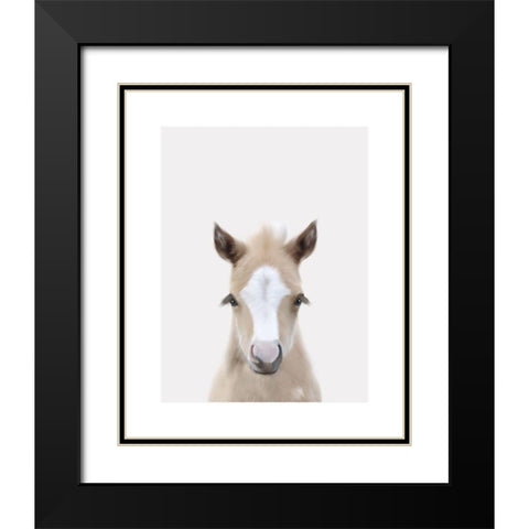 Baby Horse 1 Black Modern Wood Framed Art Print with Double Matting by Straatsma, Leah