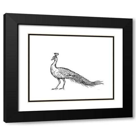 Black Peacock Black Modern Wood Framed Art Print with Double Matting by Straatsma, Leah