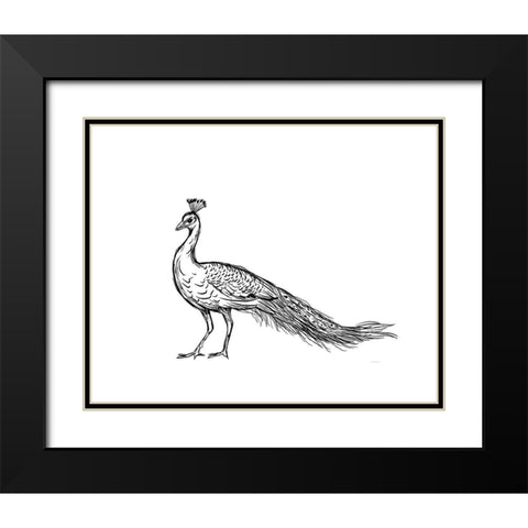 Black Peacock Black Modern Wood Framed Art Print with Double Matting by Straatsma, Leah