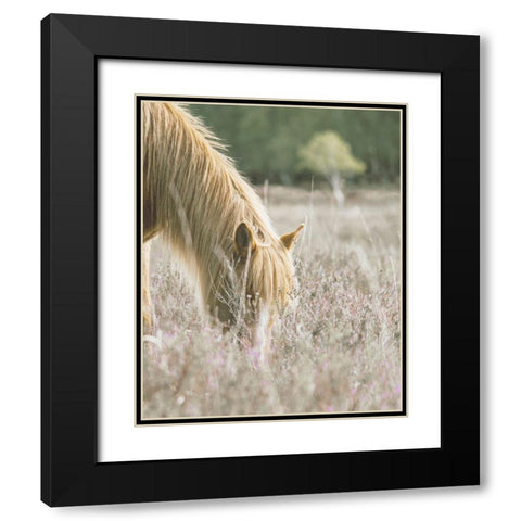 Golden Horse In Meadow Black Modern Wood Framed Art Print with Double Matting by Straatsma, Leah