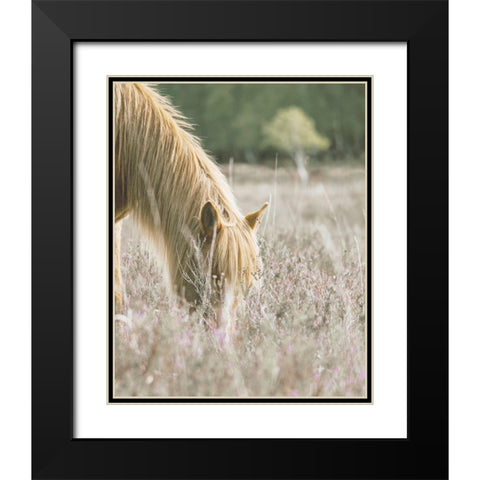 Golden Horse In Meadow Black Modern Wood Framed Art Print with Double Matting by Straatsma, Leah