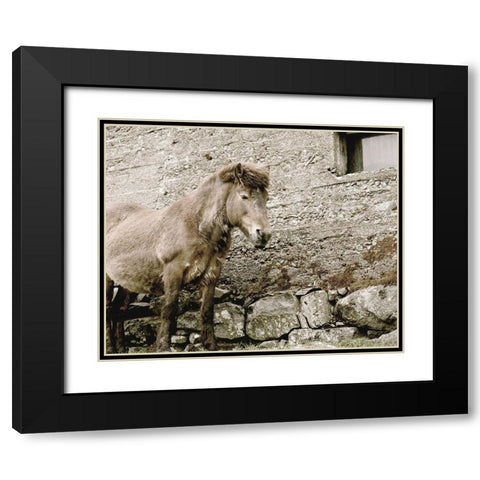 Brown Horse Rock Barn Black Modern Wood Framed Art Print with Double Matting by Straatsma, Leah