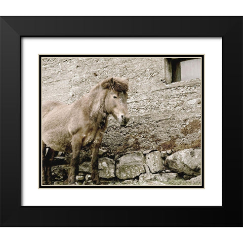 Brown Horse Rock Barn Black Modern Wood Framed Art Print with Double Matting by Straatsma, Leah