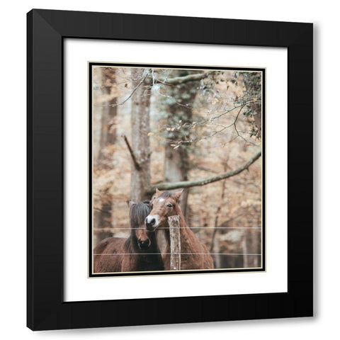 Best Friend Brown Horses Black Modern Wood Framed Art Print with Double Matting by Straatsma, Leah