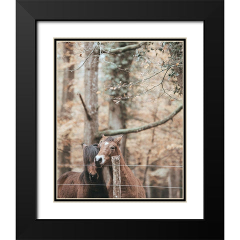 Best Friend Brown Horses Black Modern Wood Framed Art Print with Double Matting by Straatsma, Leah