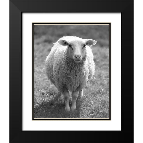 Cute Sheep Black Modern Wood Framed Art Print with Double Matting by Straatsma, Leah