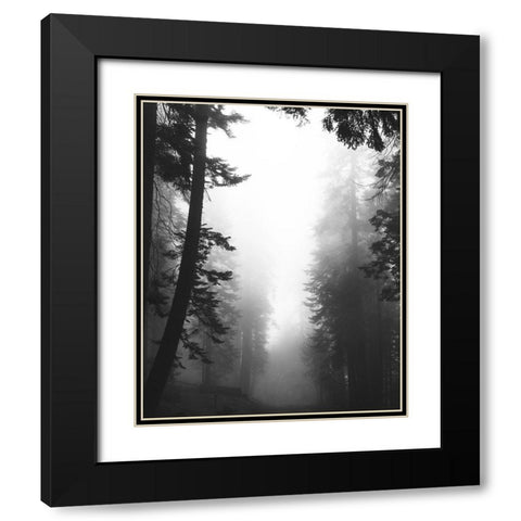 Misty Path Black Modern Wood Framed Art Print with Double Matting by Straatsma, Leah