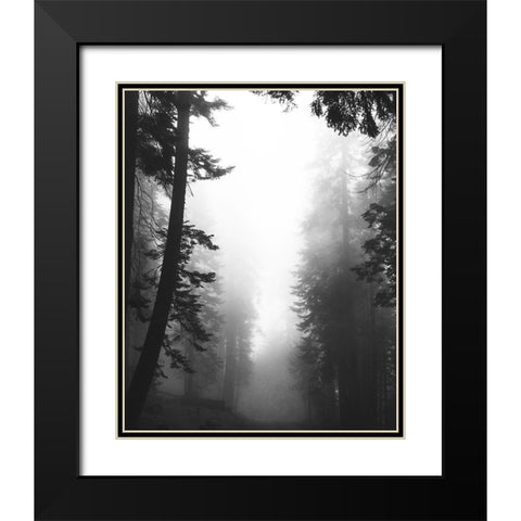 Misty Path Black Modern Wood Framed Art Print with Double Matting by Straatsma, Leah