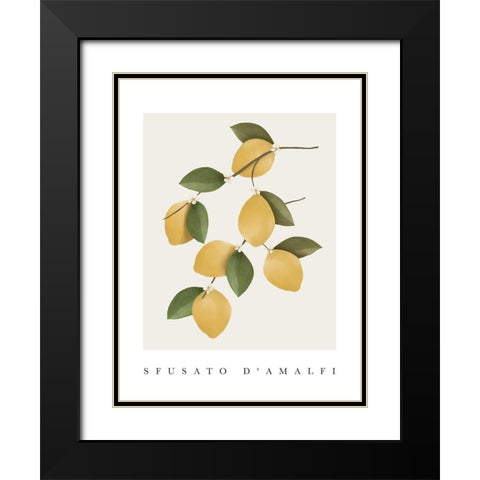 Amalfi Lemons Black Modern Wood Framed Art Print with Double Matting by Straatsma, Leah