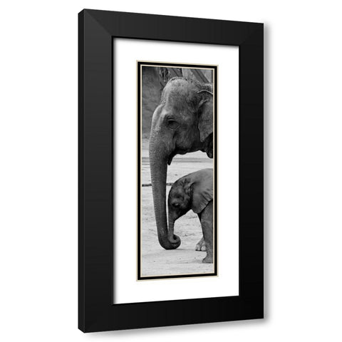 Mothers Love Black Modern Wood Framed Art Print with Double Matting by Prime, Marcus