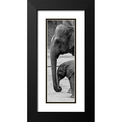 Mothers Love Black Modern Wood Framed Art Print with Double Matting by Prime, Marcus