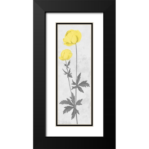 Shinning Bloom Black Modern Wood Framed Art Print with Double Matting by Prime, Marcus