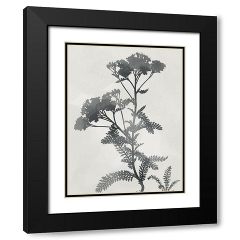 Shadowed Botanical Black Modern Wood Framed Art Print with Double Matting by Prime, Marcus