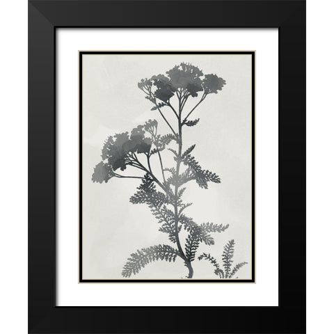 Shadowed Botanical Black Modern Wood Framed Art Print with Double Matting by Prime, Marcus