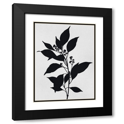 Silhouetted Inverted Growth Black Modern Wood Framed Art Print with Double Matting by Prime, Marcus