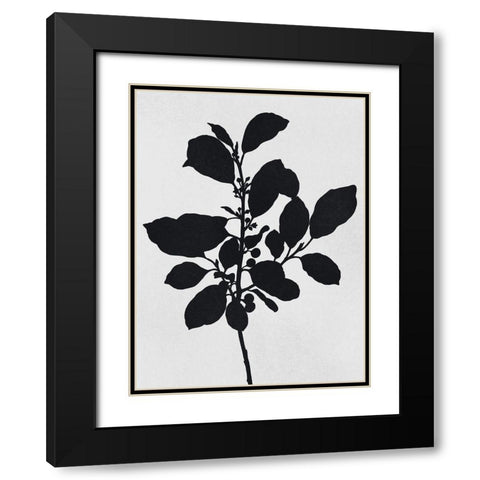 Silhouetted Inverted Growth 2 Black Modern Wood Framed Art Print with Double Matting by Prime, Marcus