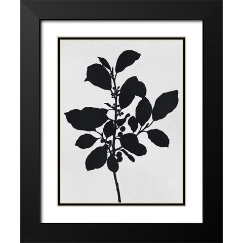 Silhouetted Inverted Growth 2 Black Modern Wood Framed Art Print with Double Matting by Prime, Marcus
