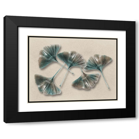 Aged Brass Ginkos 1 Black Modern Wood Framed Art Print with Double Matting by Prime, Marcus