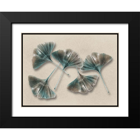 Aged Brass Ginkos 1 Black Modern Wood Framed Art Print with Double Matting by Prime, Marcus