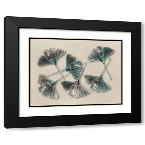 Aged Brass Ginkos 2 Black Modern Wood Framed Art Print with Double Matting by Prime, Marcus