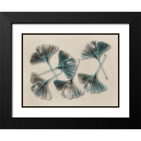 Aged Brass Ginkos 2 Black Modern Wood Framed Art Print with Double Matting by Prime, Marcus