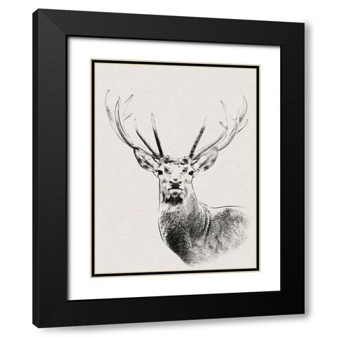 Wilderness Stare Black Modern Wood Framed Art Print with Double Matting by Prime, Marcus