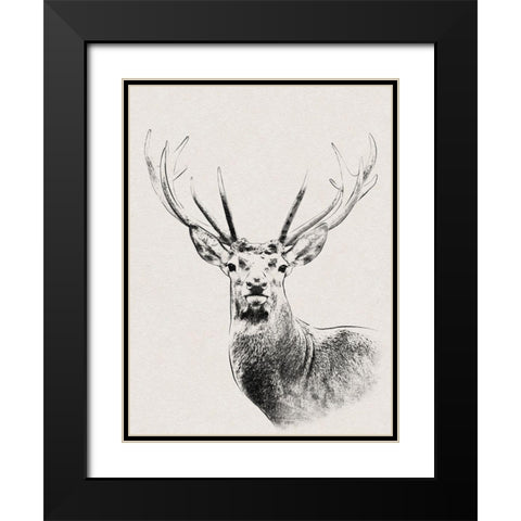 Wilderness Stare Black Modern Wood Framed Art Print with Double Matting by Prime, Marcus