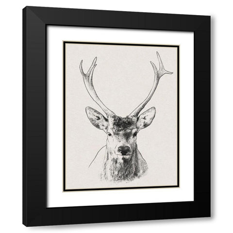 Wilderness Stare 2 Black Modern Wood Framed Art Print with Double Matting by Prime, Marcus