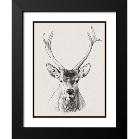 Wilderness Stare 2 Black Modern Wood Framed Art Print with Double Matting by Prime, Marcus