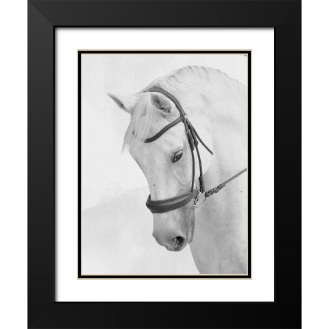Praying Steed Black Modern Wood Framed Art Print with Double Matting by Prime, Marcus