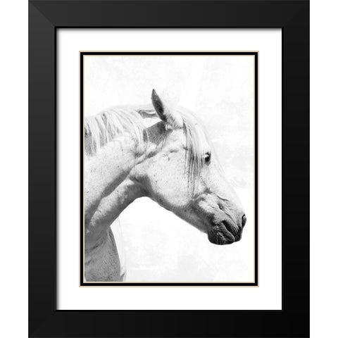 Praying Steed 2 Black Modern Wood Framed Art Print with Double Matting by Prime, Marcus
