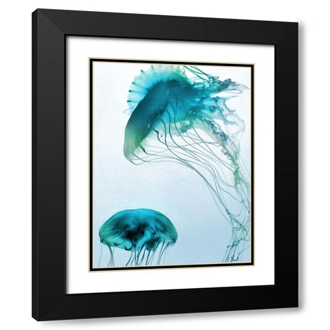 Jelly Fish Friends Black Modern Wood Framed Art Print with Double Matting by Prime, Marcus