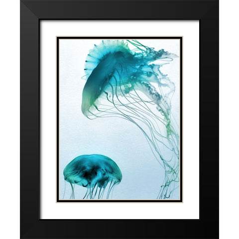 Jelly Fish Friends Black Modern Wood Framed Art Print with Double Matting by Prime, Marcus