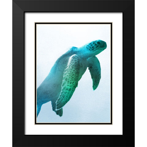 Floating Turtle Black Modern Wood Framed Art Print with Double Matting by Prime, Marcus
