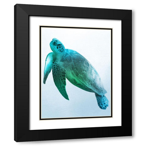 Floating Turtle 2 Black Modern Wood Framed Art Print with Double Matting by Prime, Marcus