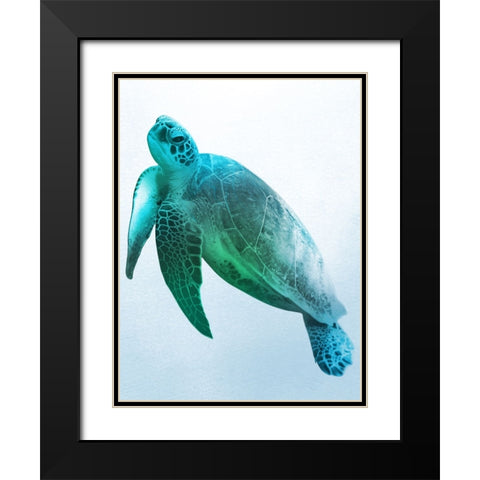 Floating Turtle 2 Black Modern Wood Framed Art Print with Double Matting by Prime, Marcus