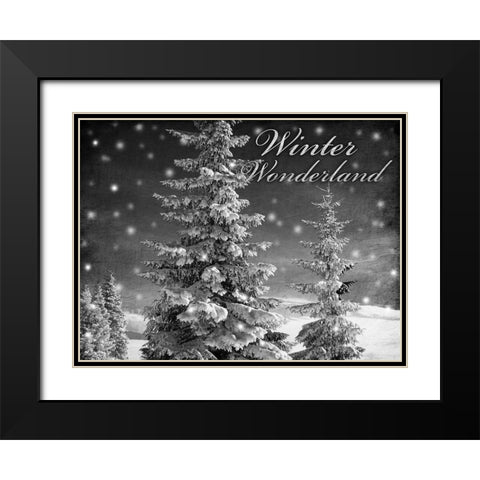 Winter Wonderland 1 Black Modern Wood Framed Art Print with Double Matting by Prime, Marcus