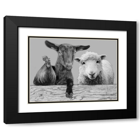 Three Amigos 2 Black Modern Wood Framed Art Print with Double Matting by Prime, Marcus