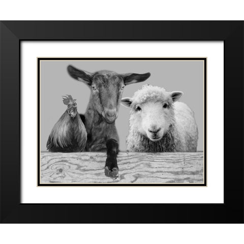 Three Amigos 2 Black Modern Wood Framed Art Print with Double Matting by Prime, Marcus