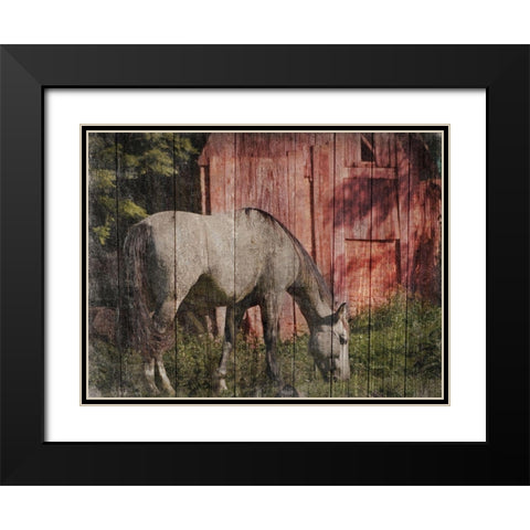 Summer Feeding Black Modern Wood Framed Art Print with Double Matting by Prime, Marcus