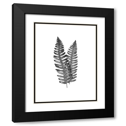 Fern Dueling 1 Black Modern Wood Framed Art Print with Double Matting by Prime, Marcus