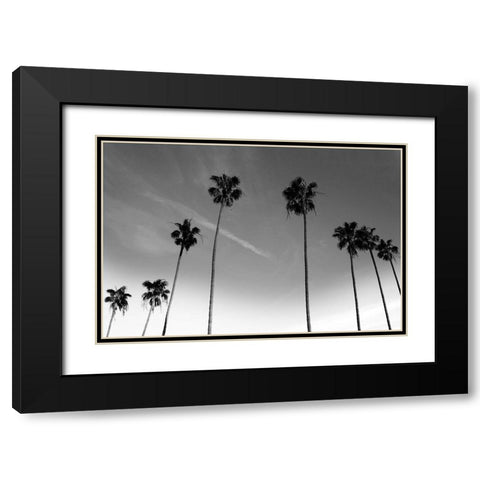 Passerby Palms Black Modern Wood Framed Art Print with Double Matting by Prime, Marcus