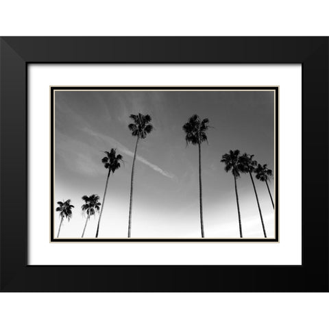 Passerby Palms Black Modern Wood Framed Art Print with Double Matting by Prime, Marcus