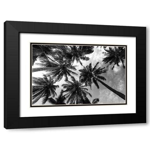 Passerby Palms 2 Black Modern Wood Framed Art Print with Double Matting by Prime, Marcus